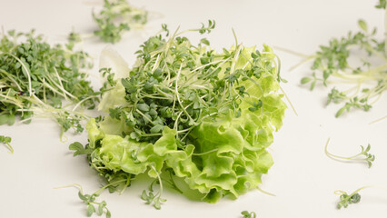 Close - up of appetizing, fresh microgreens and lettuce on white background. Excellent image for healthy food banners and advertisements.