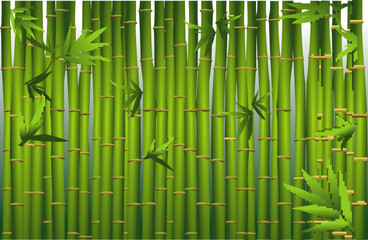 
bamboo oriental seamless pattern. chinese 

japanese bamboo grass oriental wallpaper. green 

natural tropical plant background with bamboo 

stems leaves.
