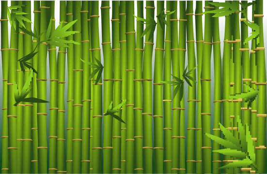 
bamboo oriental seamless pattern. chinese 

japanese bamboo grass oriental wallpaper. green 

natural tropical plant background with bamboo 

stems leaves.
