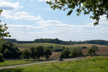 Landscape with trees