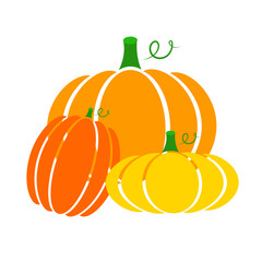 Pumpkin icons for web. Autumn vector isolated harvest of vegetables on white background