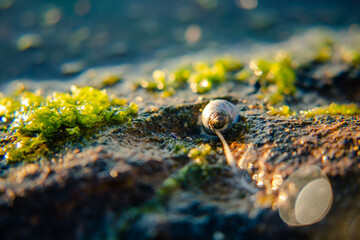 Beautiful Dee why beach at sunset