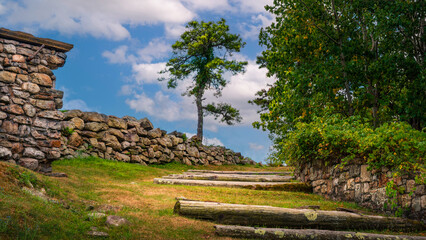 Single tree with log steps and stone walls at High Point State Park New Jersey