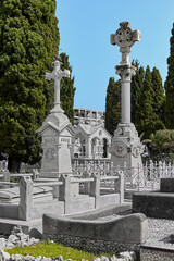 Fototapeta na wymiar Partial view of the Sitges cemetery with richly ornamented pantheons and niches in the background, as well as some very leafy trees under the blue sky for All Souls' Day, All Saints' Day and Halloween