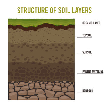 Soil layers. Cartoon geology ground structure with sand subsoil rocks and dirt, underground ancient layering diagram. Vector for fertile soil to bedrock ground
