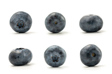 Blueberry. Blueberries collection set isolated on white background. Bilberry. Clipping path.