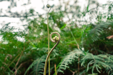 Exploring nature during a beautiful afternoon at Manly Dam 