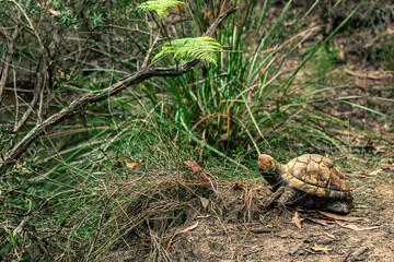 Exploring nature during a beautiful afternoon at Manly Dam 