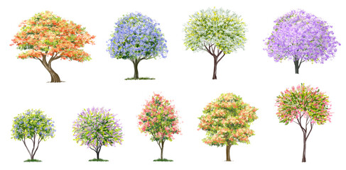 watercolor blooming flower tree or forest side view isolated on white background for landscape and architecture drawing,elements for environment or and garden,botanical element for section  