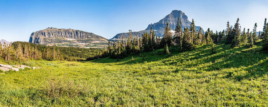 Glacier National Park Alpine Meadows