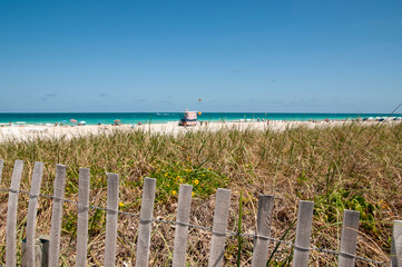 Overview of Miami south beach with dunes and wild vegetation, protected by a wooden fence