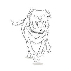 Australian shepherd run vector in black line