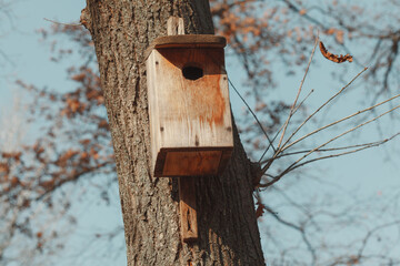 Handcrafted bird houses . Wooden bird nest on a tree