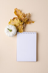 Empty white notebook on a light background with autumn leaves