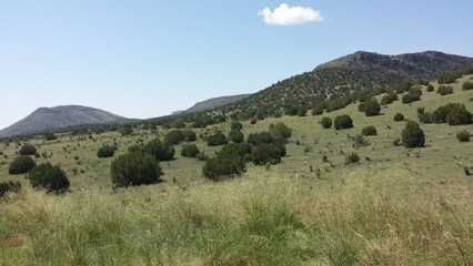 Obraz premium view of the mountains