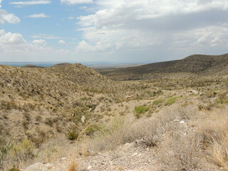 sand dunes in the desert