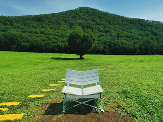 White chair and green tree with heart shape against blue sky - Powered by Adobe