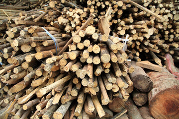 Pile of chopped wood for fire or construction