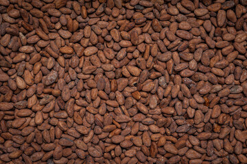 cocoa beans as background. Cocoa products
