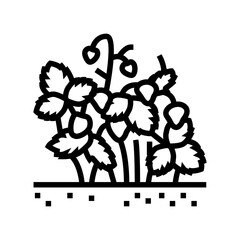 Fototapeta na wymiar strawberry bush plant line icon vector. strawberry bush plant sign. isolated contour symbol black illustration