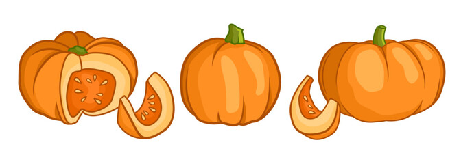 Pumpkin flat icons set. Sign kit of halloween. Thanksgiving pictogram collection farm harvest, closeup squash, vegetable. Simple pumpkin cartoon colorful icon symbol isolated white Vector Illustration