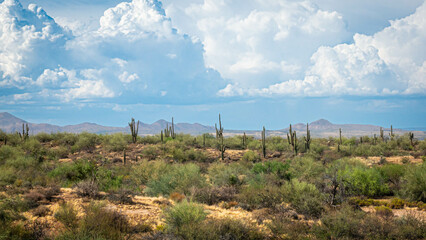 Thunderhead clouds roll in over the high desert northeast of Scottsdale, Arizona.
