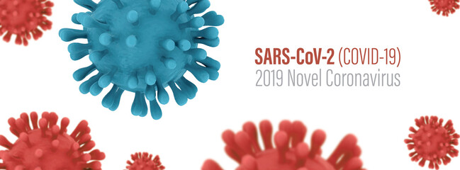 SARS-CoV-2 (Covid-19) Novel Coronavirus Banner - 523232370