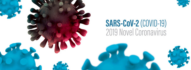 SARS-CoV-2 (Covid-19) Novel Coronavirus Banner - 523235372