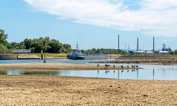 Niedrigwasser am Rhein beim &Ouml;lhafen Karlsruhe