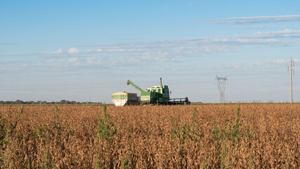 Maquina agricola cosechando la soja en una tarde de otoño, campo argentino, cosechadora