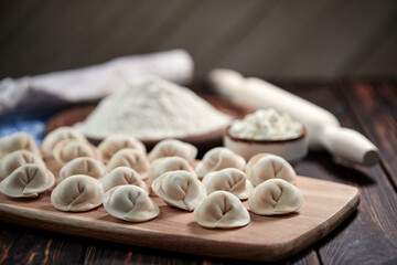 Fototapeta na wymiar raw dumplings with cottage cheese