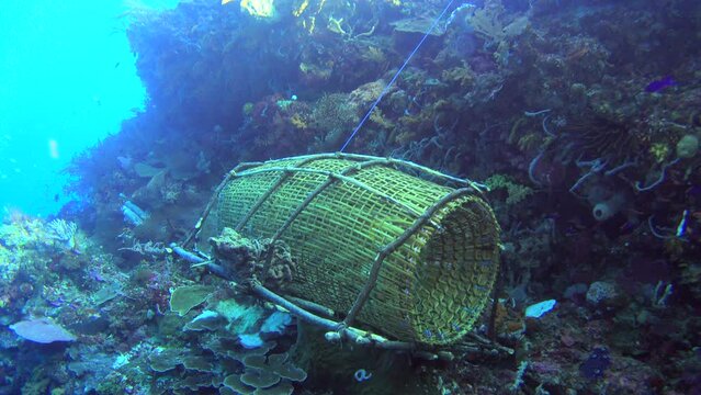 Underwater shot of fish cage laying on reef with hard and soft coral