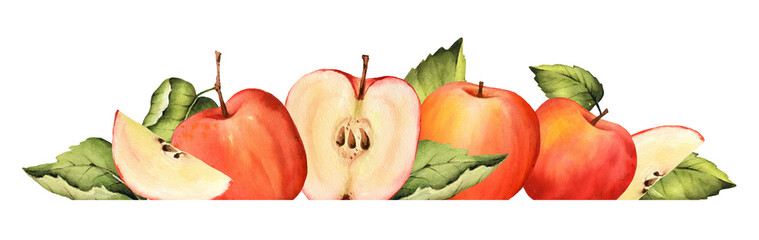 Watercolor red apple border. Fall arrangement with fruit and green leaves. Half, slice of apple. Isolated. Food botanical illustration. Hand painted clipart.