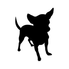 Dog silhouette. Vector illustration of chihuahua isolated on white background.