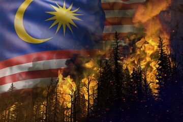 Forest fire natural disaster concept - burning fire in the woods on Malaysia flag background - 3D illustration of nature