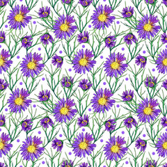 seamless watercolor pattern with aster flowers and leaves on a white background.