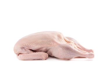 Raw and uncooked whole duck isolated on white background