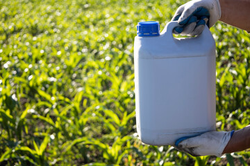 A gloved worker holds a canister against a background of corn. Treatment with corn fertilizers.