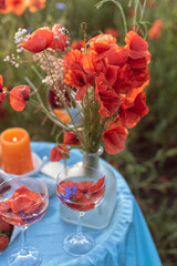 Wild landscapes in west Europe