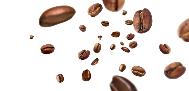 Coffee beans piece fly  isolated on white background  with clipping path