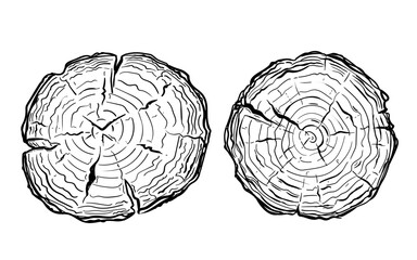 A set of illustrations of a sawn tree trunk, hand drawn in a doodle style. Line drawing of a round stump. Isolated vector illustration.