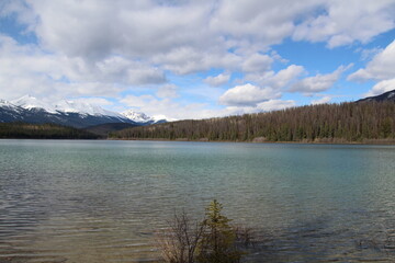 Fototapeta premium Blue Waters Of Patricia Lake, Jasper National Park, Alberta