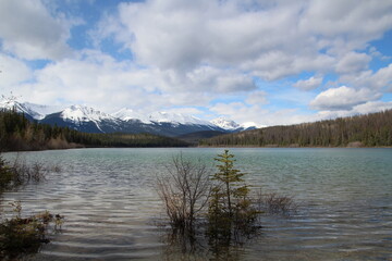 High Waters Of Patricia Lake, Jasper National Park, Alberta