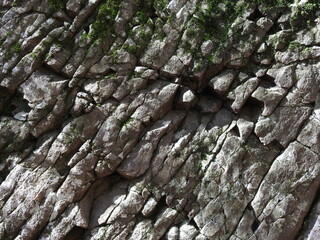 A natural igneous rock texture, with moss growing out of the crevices. Located in the Poconos Mountains of Pennsylvania.