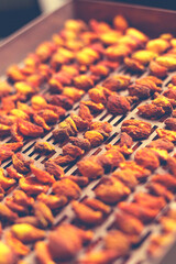 Fototapeta premium The process of home cooking dried fruits in an electric dryer.