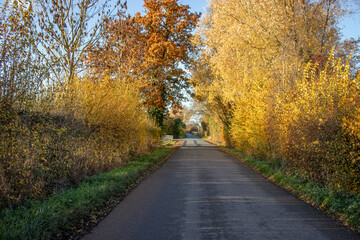 Country road in the autumn.