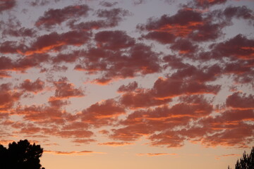 Fototapeta na wymiar dark red clouds scattered across the pale blue sky at dusk