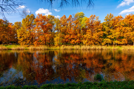Trees reflected in water, autumn foliage in Catherine park, Pushkin (Tsarskoe Selo), Saint Petersburg, Russia © Mistervlad