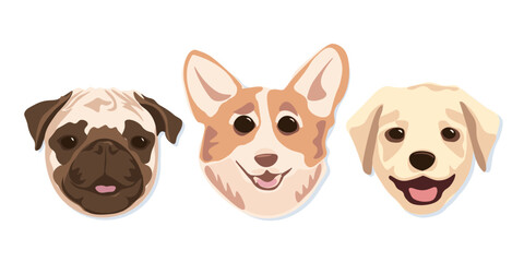 Muzzles of purebred dogs are hand drawn in a flat style. Colorful vector illustration.