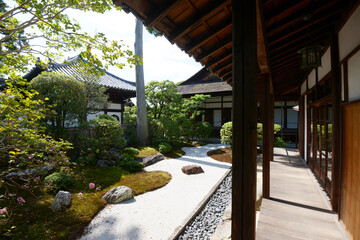 妙心寺　大心院の阿吽庭　京都市右京区花園